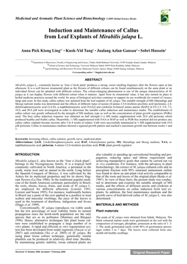 Induction and Maintenance of Callus from Leaf Explants of Mirabilis Jalapa L