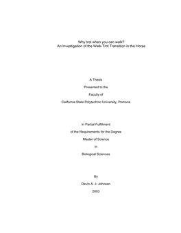 Why Trot When You Can Walk? an Investigation of the Walk-Trot Transition in the Horse