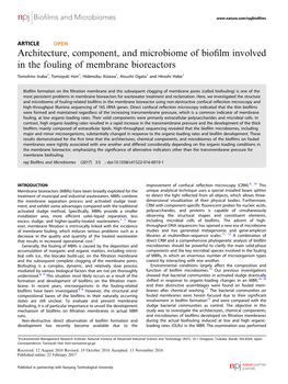 Architecture, Component, and Microbiome of Biofilm Involved In