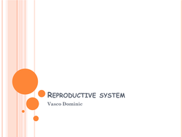 REPRODUCTIVE SYSTEM Vasco Dominic