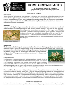 Snow Mold on Turfgrass Introduction Winter Diseases of Turfgrasses Are Often Associated with Melting Snow Or Cold, Wet Periods