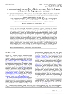 A Phenomenological Analysis of the Subjective Experience Elicited by Ibogaine in the Context of a Drug Dependence Treatment