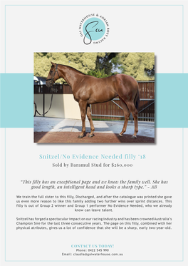 Snitzel/No Evidence Needed Filly ‘18 Sold by Baramul Stud for $260,000