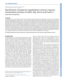 Specification of Posterior Hypothalamic Neurons Requires Coordinated Activities of Fezf2, Otp, Sim1a and Foxb1.2 Andrea Wolf and Soojin Ryu*