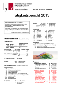 Tätigkeitsbericht 2013