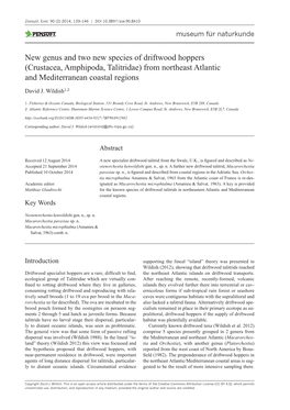 Crustacea, Amphipoda, Talitridae) from Northeast Atlantic and Mediterranean Coastal Regions