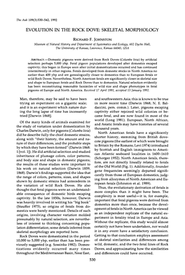 Evolution in the Rock Dove: Skeletal Morphology Richard F. Johnston