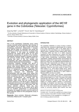 Evolution and Phylogenetic Application of the MC1R Gene in the Cobitoidea (Teleostei: Cypriniformes)
