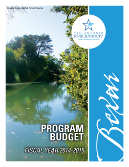 2015 Program Budget