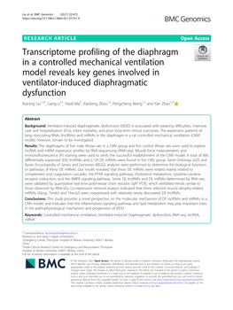 Transcriptome Profiling of the Diaphragm in a Controlled Mechanical Ventilation Model Reveals Key Genes Involved in Ventilator-I