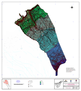 Arcview Print