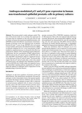 Androgen-Modulated P21 and P53 Gene Expression in Human Non-Transformed Epithelial Prostatic Cells in Primary Cultures