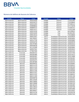 Números De Teléfono De Asesores De Cobranza