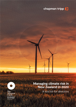 Managing Climate Risk in New Zealand in 2020 a Tool Kit for Directors Contents