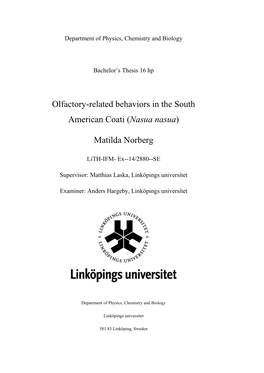 Olfactory-Related Behaviors in the South American Coati (Nasua Nasua)