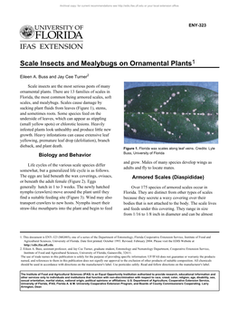 Scale Insects and Mealybugs on Ornamental Plants1