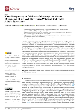 Virus Prospecting in Crickets—Discovery and Strain Divergence of a Novel Iflavirus in Wild and Cultivated Acheta Domesticus