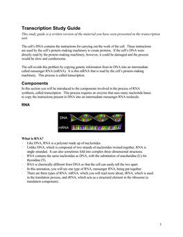 Transcription Study Guide This Study Guide Is a Written Version of the Material You Have Seen Presented in the Transcription Unit