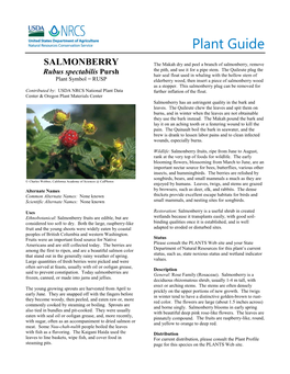 Plant Guide for Salmonberry (Rubus Spectabilis)