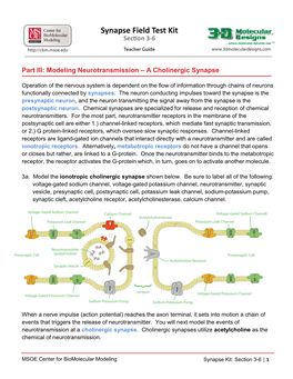 Part III: Modeling Neurotransmission – a Cholinergic Synapse