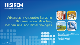 Advances in Anaerobic Benzene Bioremediation: Microbes, Mechanisms, and Biotechnologies