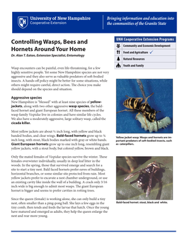 Controlling Wasps, Bees and Hornets Around Your Home  Dr