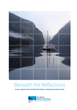 Beneath the Reflections