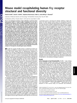 Mouse Model Recapitulating Human Fcγ Receptor Structural and Functional Diversity