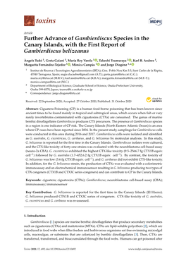 Further Advance of Gambierdiscus Species in the Canary Islands, with the First Report of Gambierdiscus Belizeanus