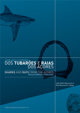 Dos Tubarões E Raias Dos Açores Sharks and Rays from the Azores an Illustrated Catalogue