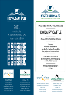 100 Dairy Cattle