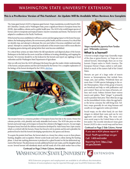 What Is a Hornet? Scott Camazine