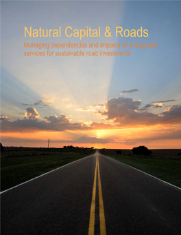 Natural Capital & Roads: Managing