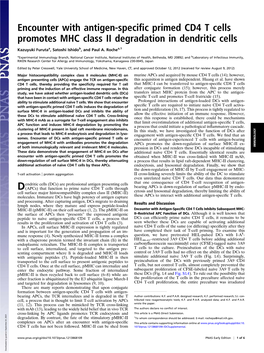 Encounter with Antigen-Specific Primed CD4 T Cells Promotes MHC Class II Degradation in Dendritic Cells