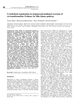 Evidence for Rho Kinase Pathway