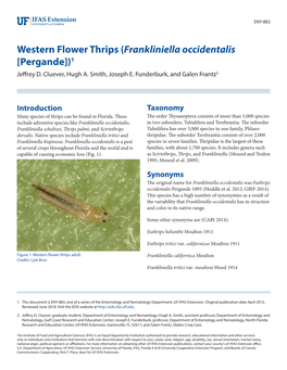 Western Flower Thrips (Frankliniella Occidentalis [Pergande])1 Jeffrey D