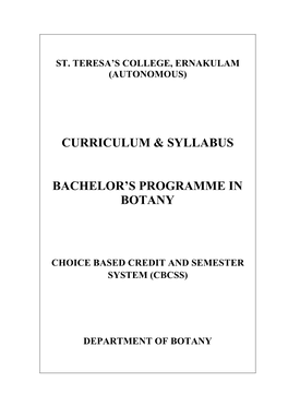 Curriculum & Syllabus Bachelor's Programme In