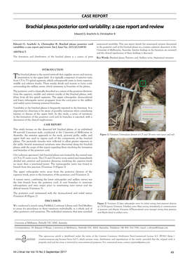 Brachial Plexus Posterior Cord Variability: a Case Report and Review