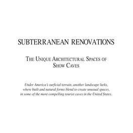 Download a Pdf of the Subterranean Renovations Publication