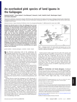 An Overlooked Pink Species of Land Iguana in the Galápagos Gabriele Gentilea,1, Anna Fabiania, Cruz Marquezb, Howard L