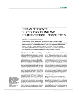 Human Prefrontal Cortex: Processing and Representational Perspectives