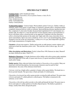 Chaenotheca Chrysocephala Species Fact Sheet