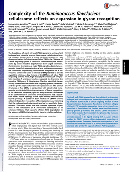 Complexity of the Ruminococcus Flavefaciens Cellulosome Reflects an Expansion in Glycan Recognition