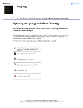 Exploring Autophagy with Gene Ontology