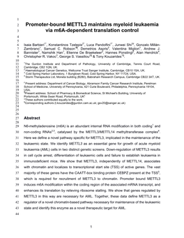 Promoter-Bound METTL3 Maintains Myeloid Leukaemia Via M6a-Dependent Translation Control