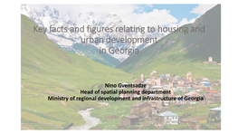 Urban Development in Georgia