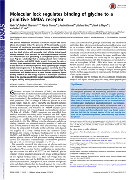 Molecular Lock Regulates Binding of Glycine to a Primitive NMDA Receptor