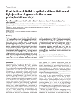 Contribution of JAM-1 to Epithelial Differentiation and Tight-Junction Biogenesis in the Mouse Preimplantation Embryo