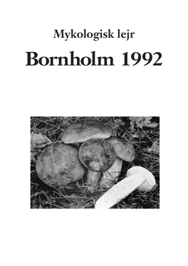 Bornholm 1992 Mykologisk Lejr, Bornholm 1992 1