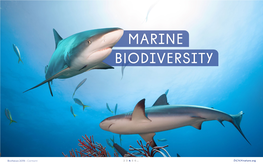 Biodiversity Marine